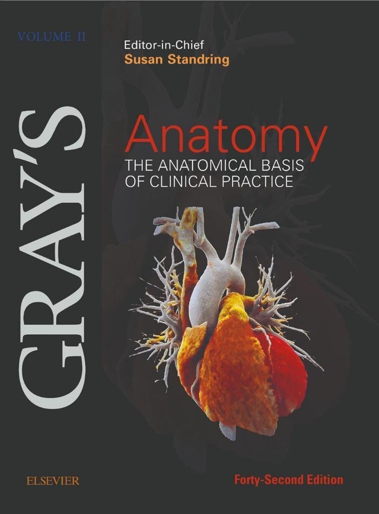 Gray's Anatomy: The Anatomical Basis of Clinical Practice