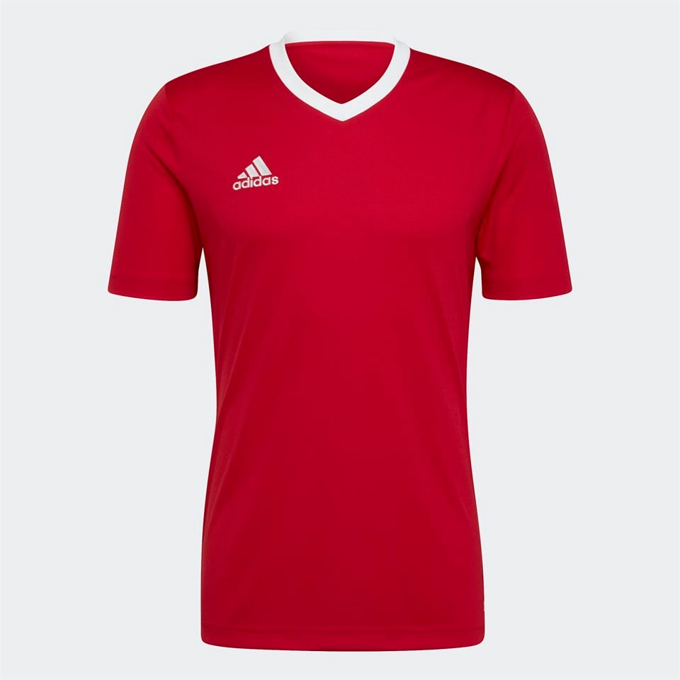 Adidas Entrada 22 Jersey Erkek Forma