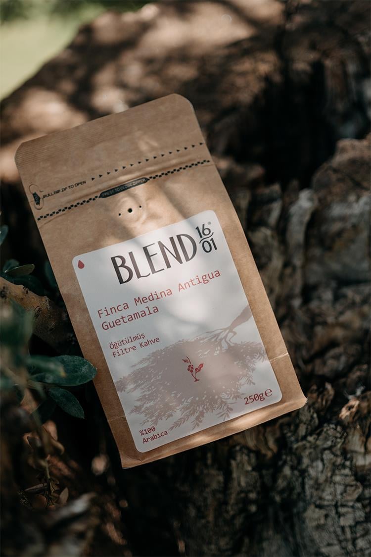 Guatemala Finca Medina Filtre Kahve 250 g (Öğütülmüş) | Blend1601