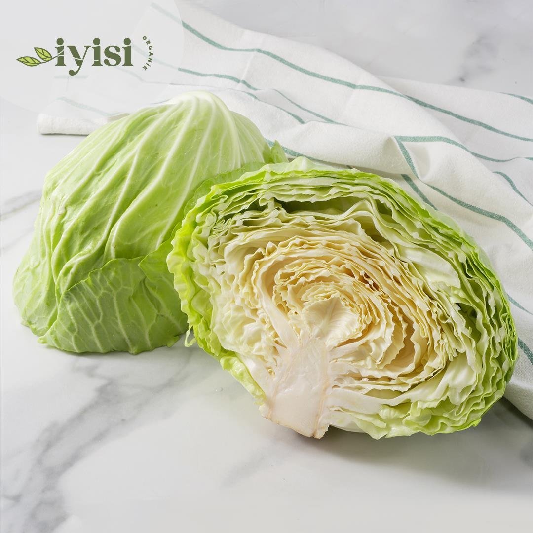 Organik Beyaz Lahana