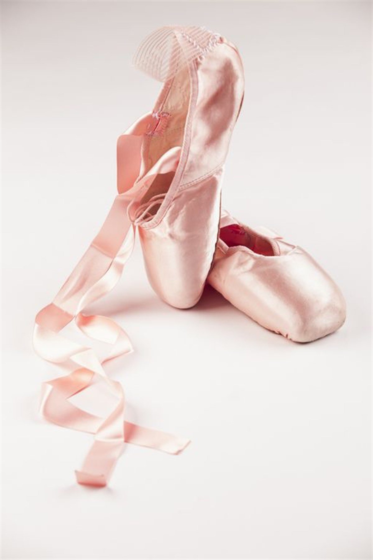 Bale Ayakkabısı - Kanvas Tablo | tablolife.com