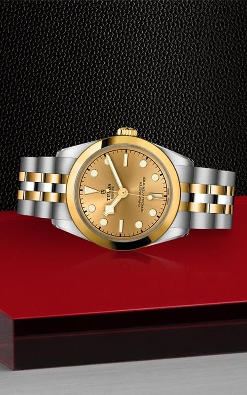 Tudor M79603-0005 Black Bay 31 Kadın Kol Saati