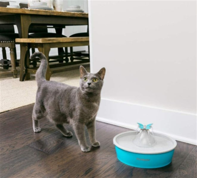 PetSafe Butterfly Su P nar 1 5 Lt
