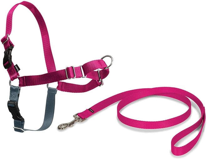 Petsafe easy walk harness clearance small