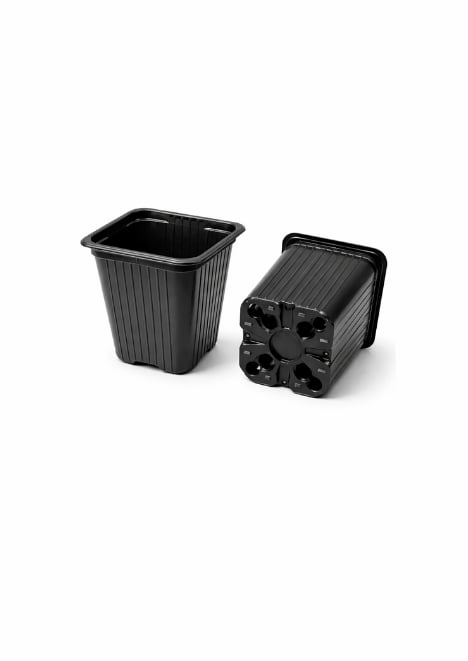 Kare Saksı 8x8x9 Termoform saksı