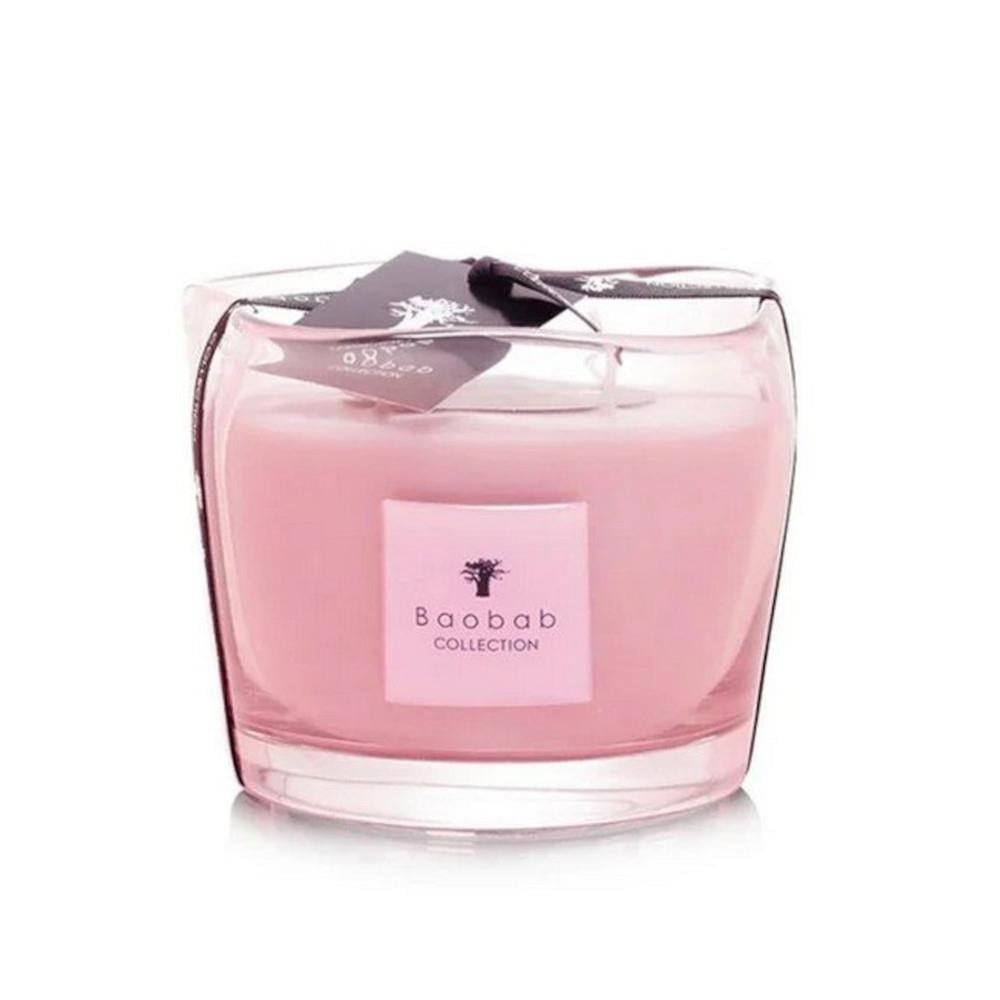 Baobab Collection - Max10 Dream Candle