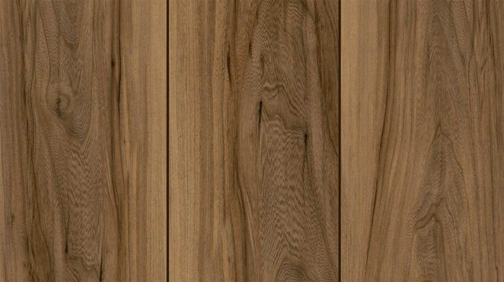 超激レア　PURE LARD SLAB 超激レア PURE LARD SLAB