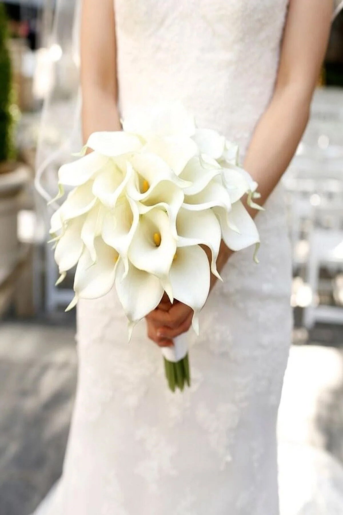 Gelin Buketi Beyaz Renk Islak Gala Damat Yaka Çiçeği
