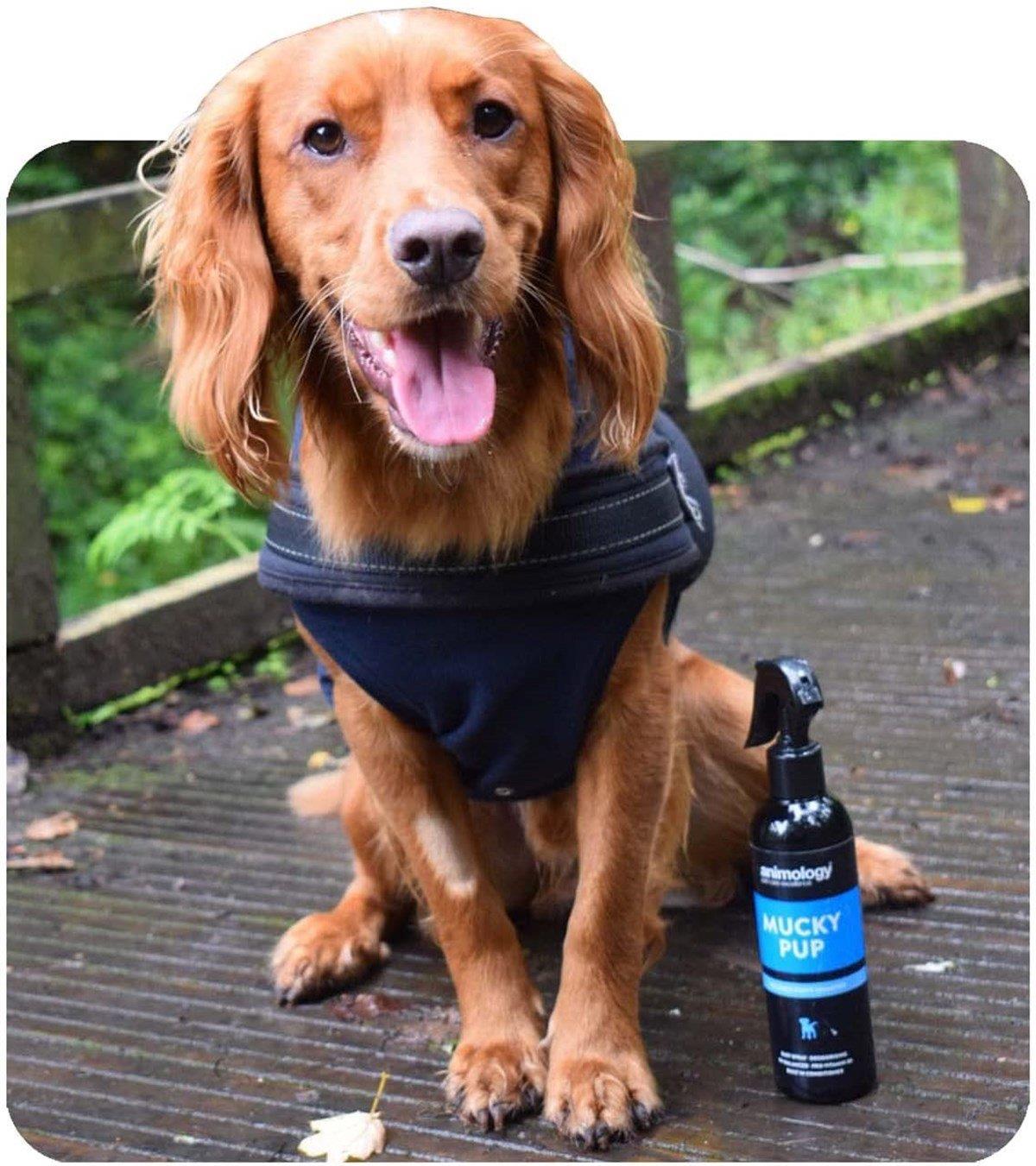 Mucky pup shampoo hot sale