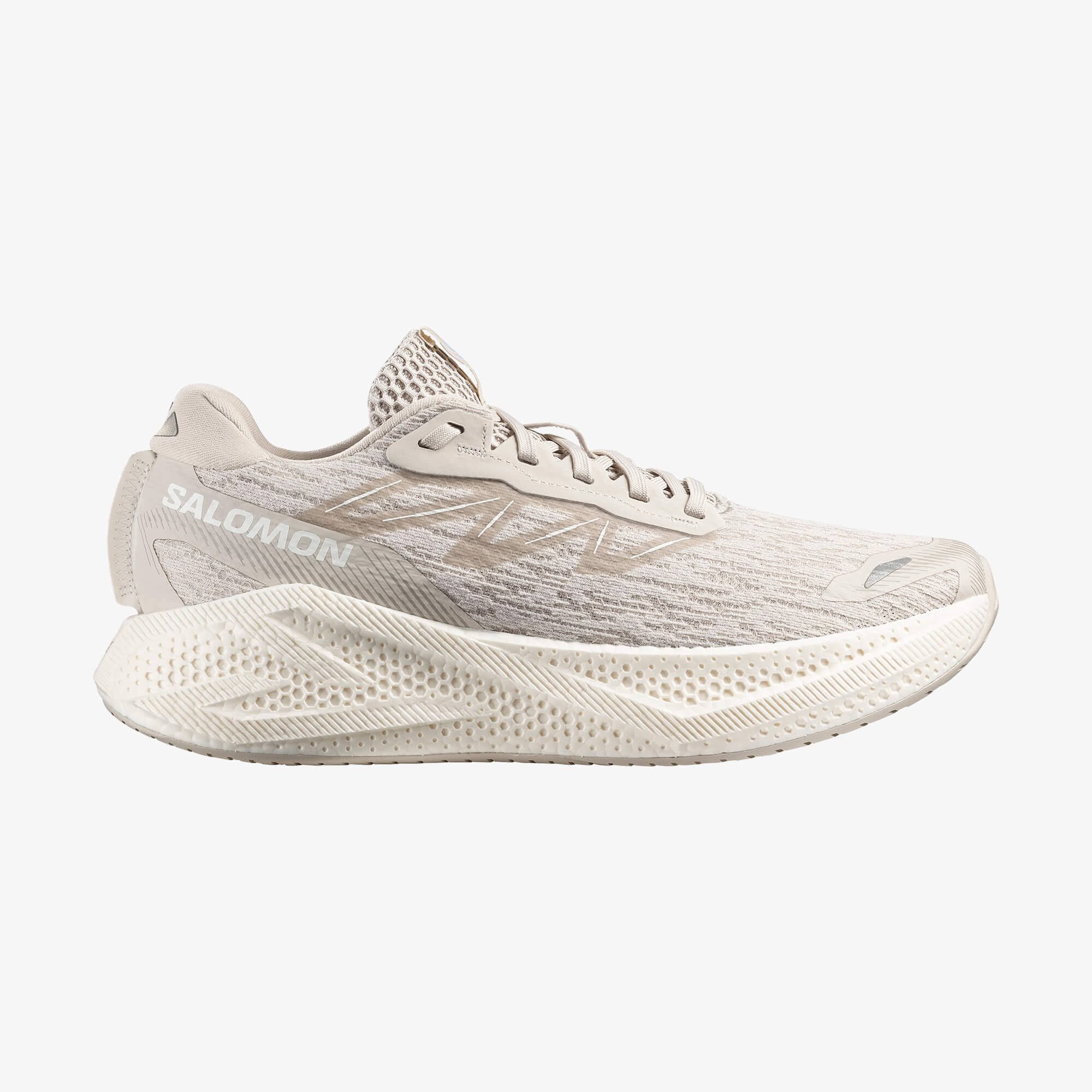 Salomon AERO GLIDE 4 Erkek Koşu Ayakkabısı Silver Cloud L49147200