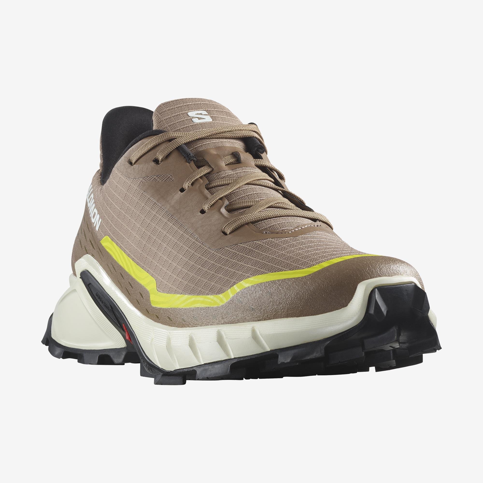 Salomon Alphacross 5 Erkek Koşu Ayakkabısı - Kahve