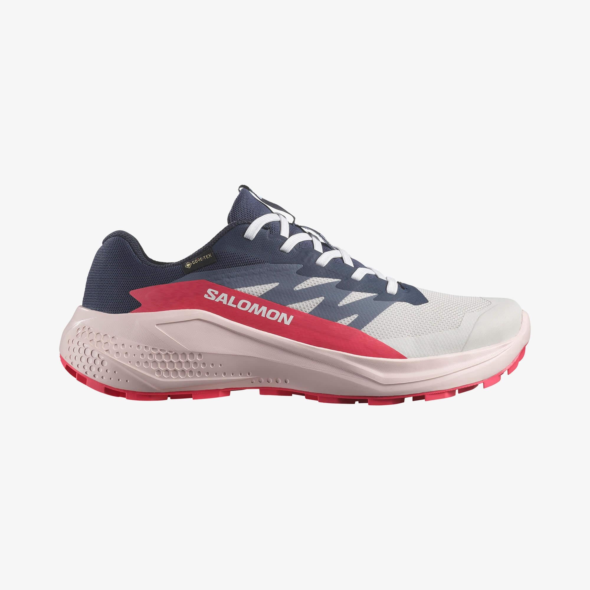 Salomon ALPHAGLIDE GORE-TEX Kadın Koşu Ayakkabısı Lunar Rock L47802300