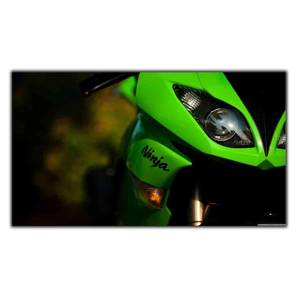 KAWASAKI NİNJA YEŞİL MOTOSİKLET KANVAS TABLO ürününe, KANVAS TABLOLAR kategorisinden hemen satın alabilirsiniz.
