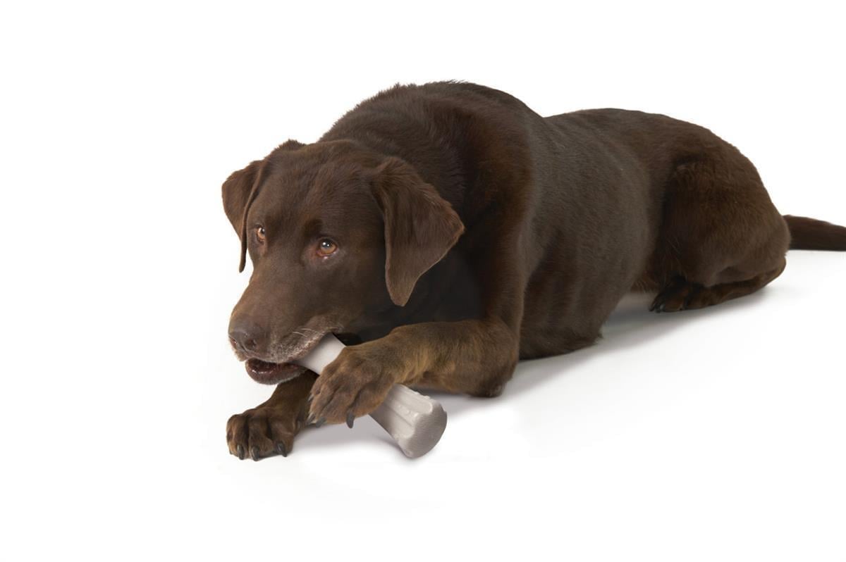 Petstages Deerhorn Antler Alternative Dog Chew Toy K pek i neme