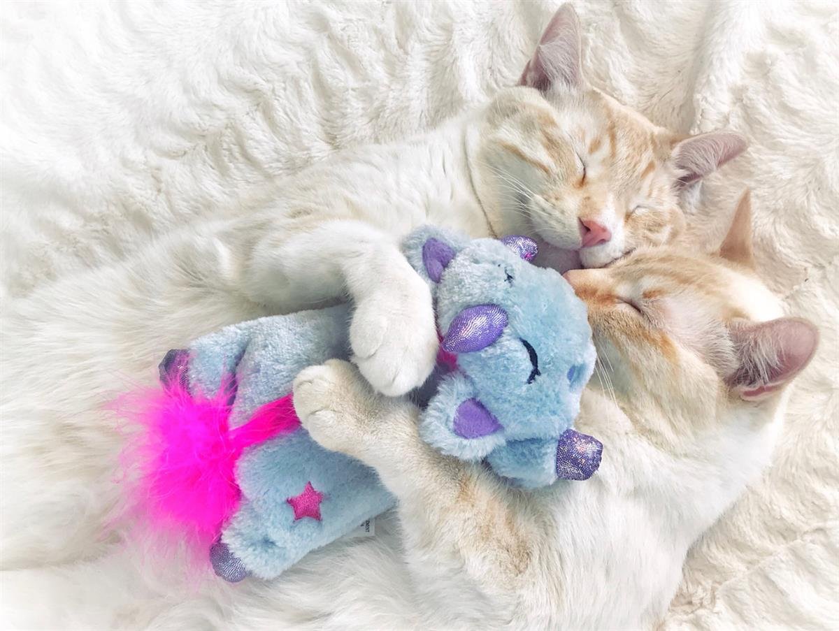 Petstages Unicorn Cuddle Pal PRP