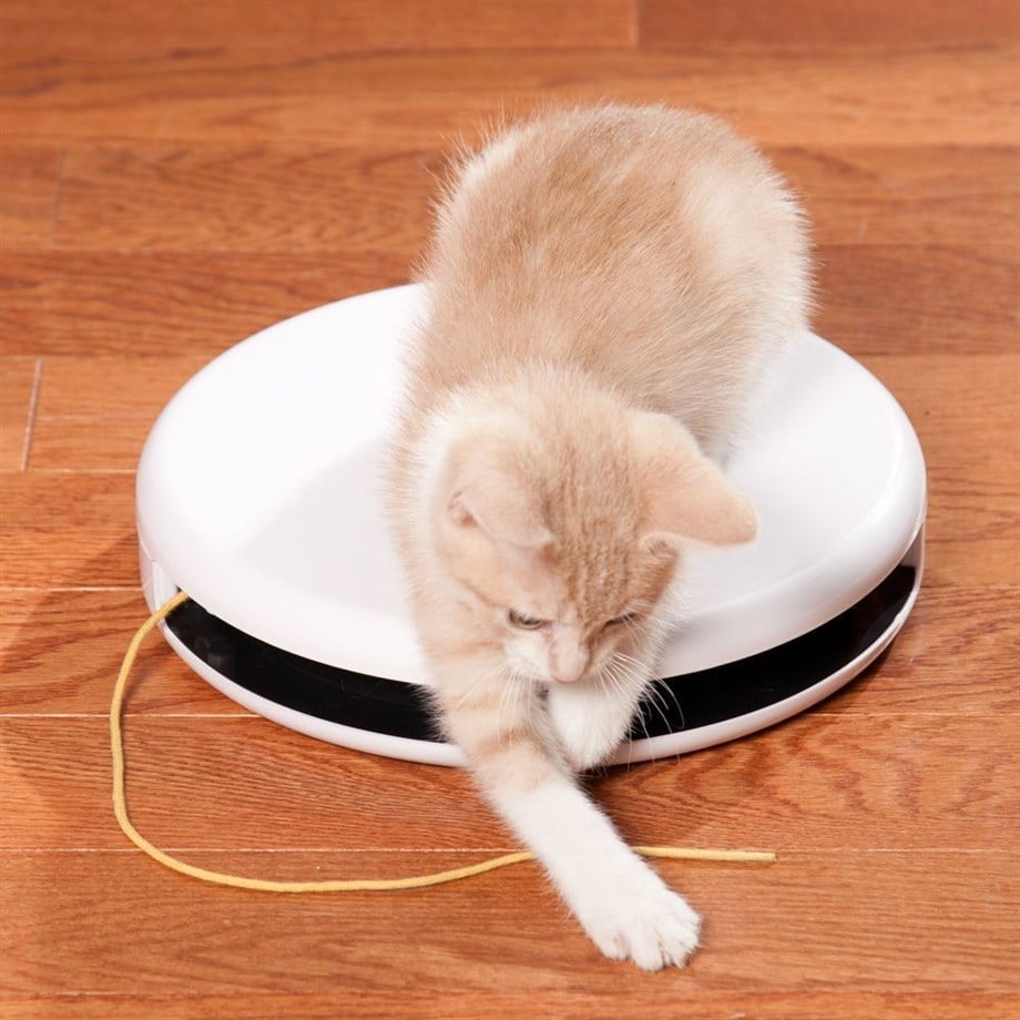 Frolicat flik top