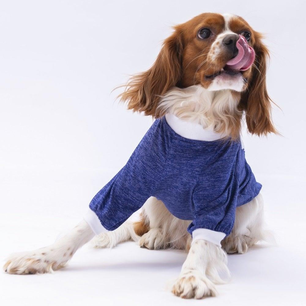 PawStar Mavi Fun Day Kucuk Irk Sweat