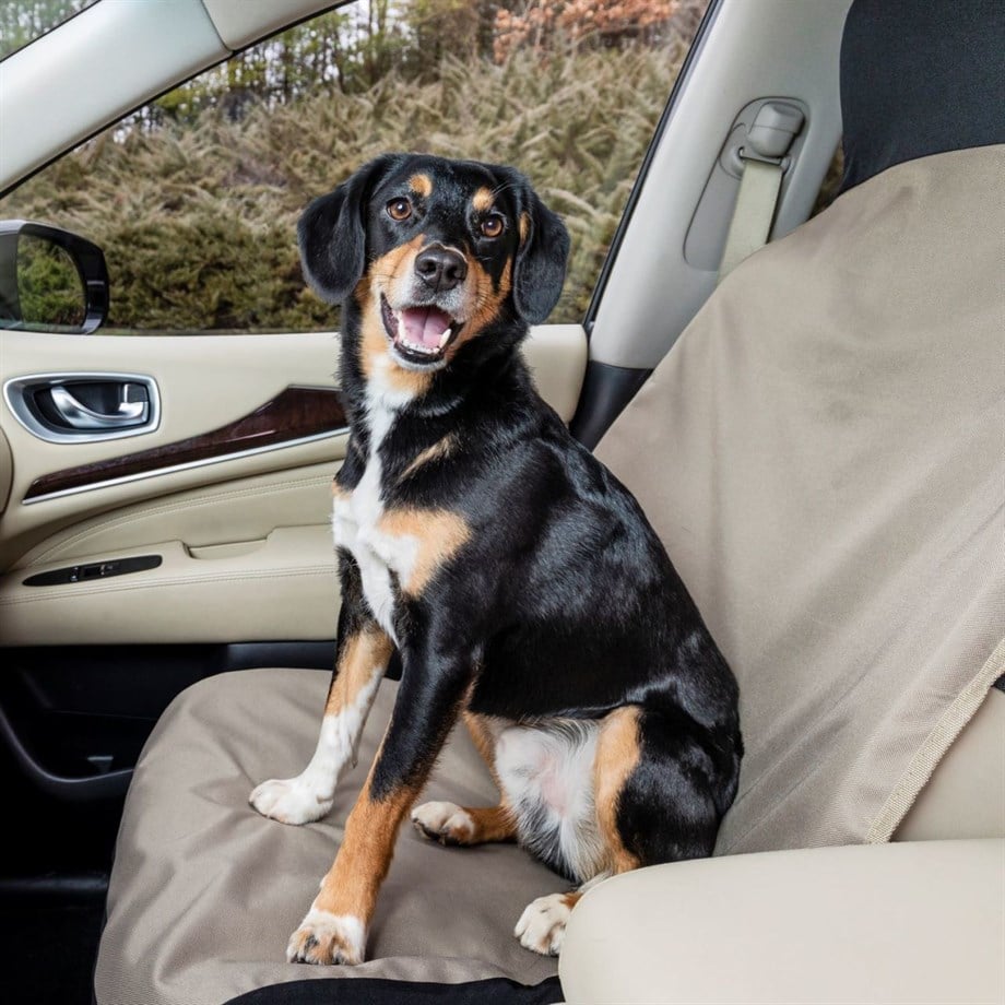 Petsafe solvit car seat deals