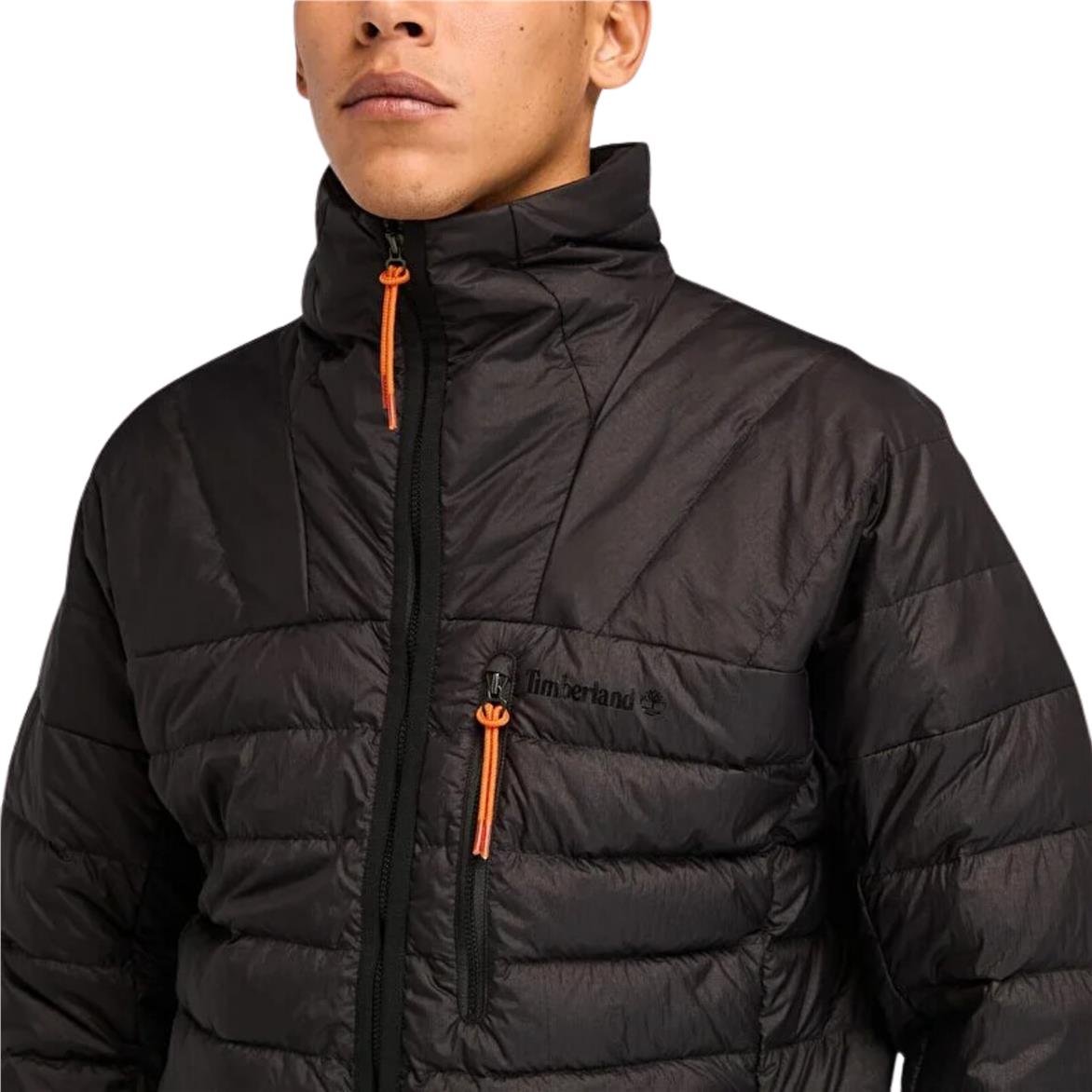 Timberland bear head down jacket sales
