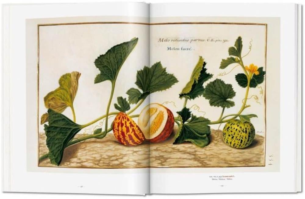 Taschen A Garden Eden. Masterpieces of Botanical Illustration
