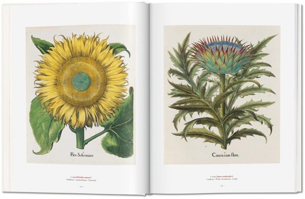 Taschen A Garden Eden. Masterpieces of Botanical Illustration