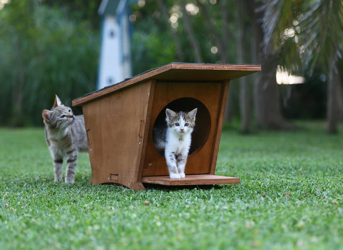 Mandu Ahşap Mini Kedi Evi (Yeni Doğan Evi)-Mnd215