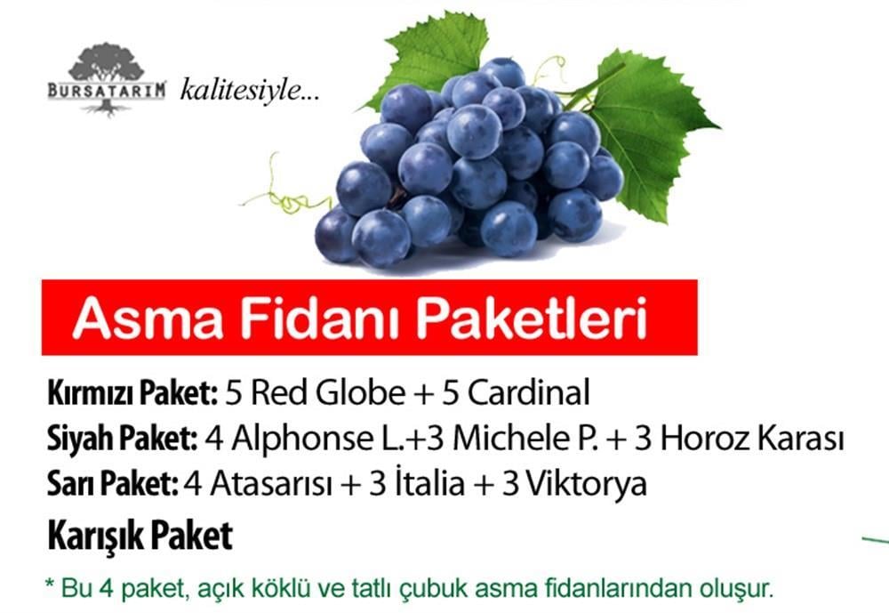Asma Fidanı Paketi - 10 'lu BURSA TARIM Market | Türkiye'nin Tarım Mağazası  - Çok çeşit | Stoktan Hemen Fidan alışverişi