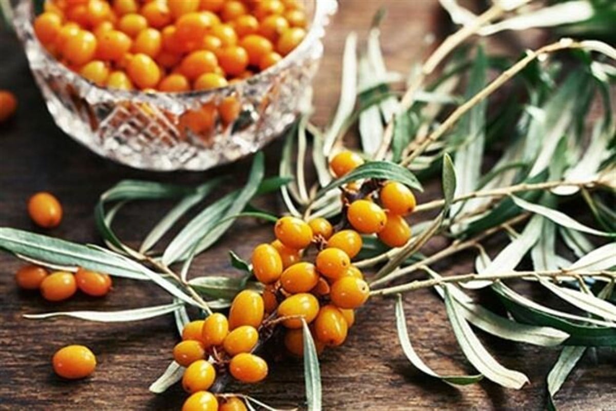 Tinto Brass porno video