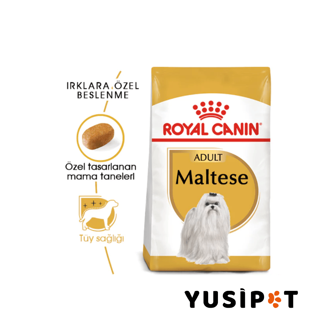 Karma royal canin maltese hotsell