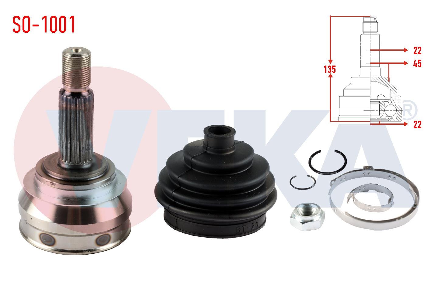 F13nya KP.13.24 - 5010439600 - Diskli Diferansiyel Porya , Kurtsan Porya