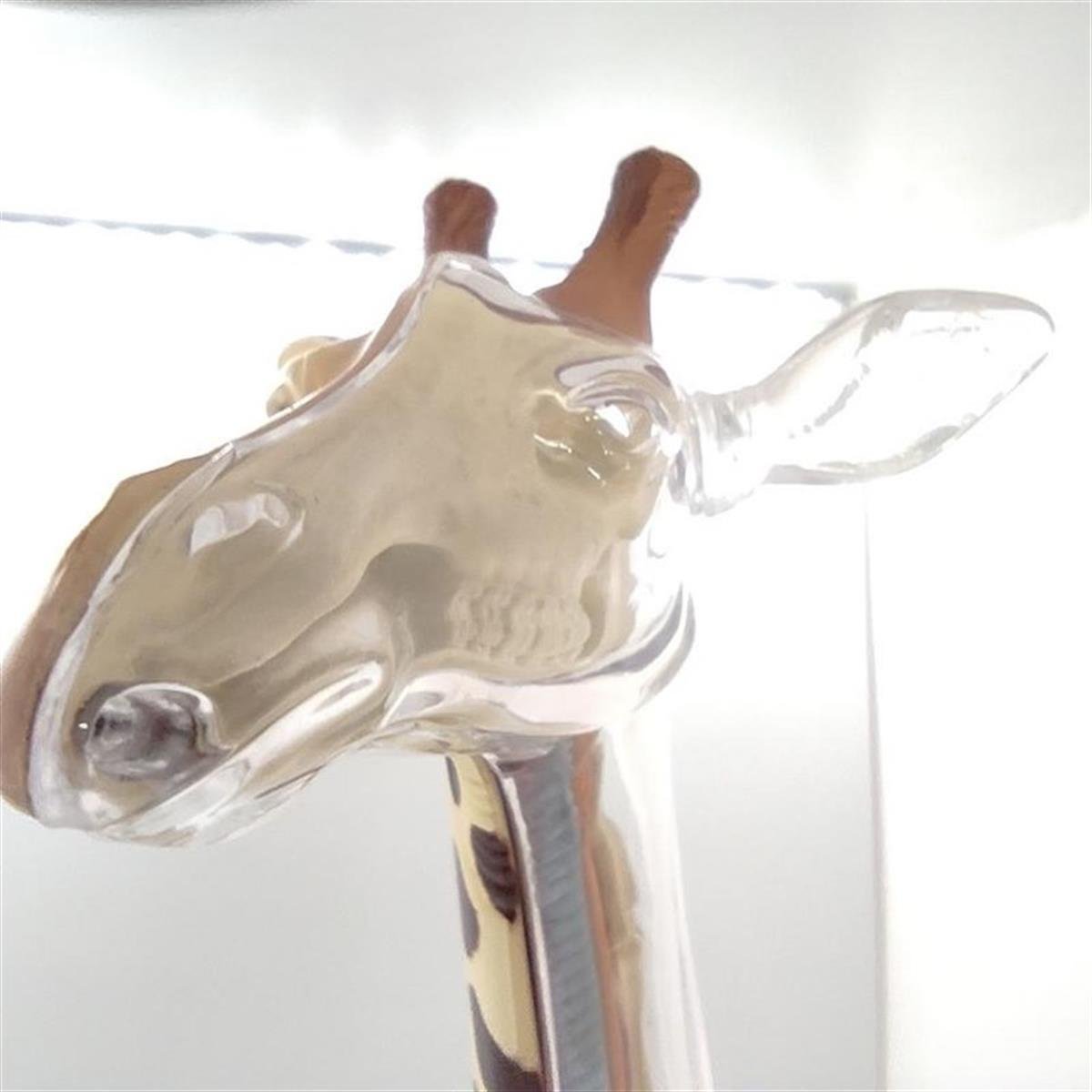 4D Master Vision Oyuncak Zürafa Anatomi Modeli - Oscar Eğitim Araçları