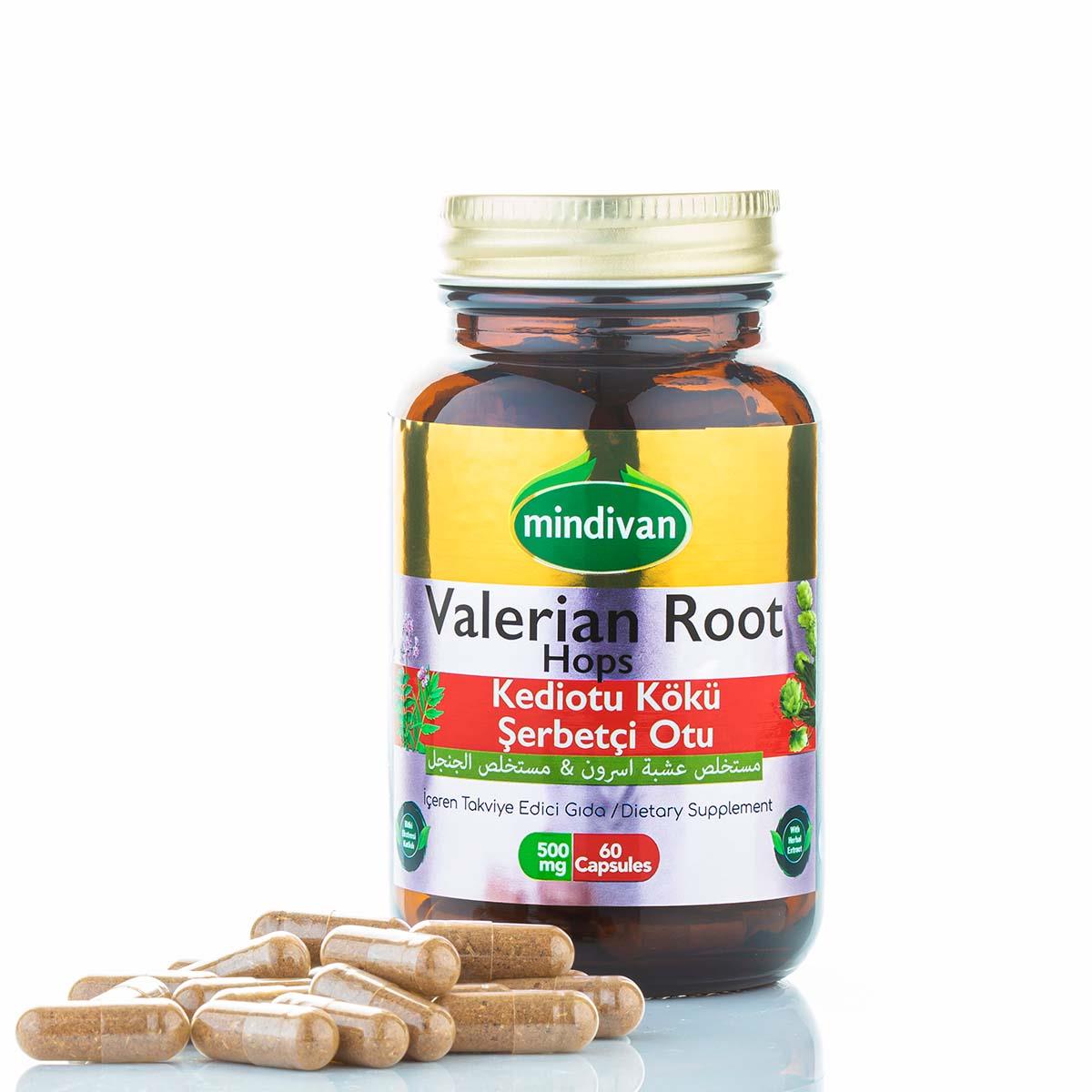 Kedi Otu Ekstresi & Şerbetçi Otu Ekstresi 500 Mg 60 Kapsül