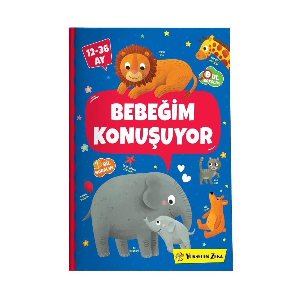 12-20 Ay Temel Setler Kolisi | Yükselen Zeka | Mutluluk Dağıtır