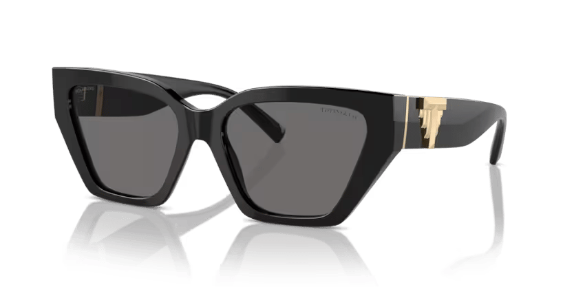 ティファニー　ニュースキン製品 Tiffany Co. TF 4218 800181 55 Polarize Güneş Gözlüğü | Actual Optik