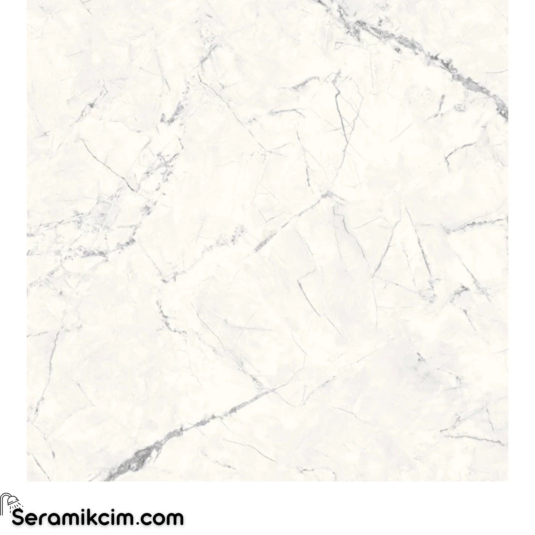 Çanakkale Seramik Mpb-U831 Invisible Marble Beyaz Parlak 59X59R