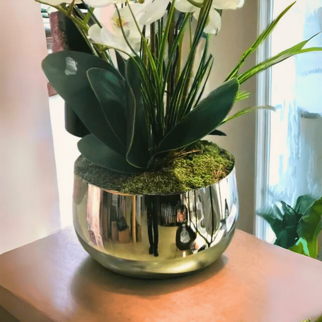 Büyük Gümüş Metal Orkide Saksısı Vazo / Çiçekler Görsel Amaçlı  Kullanılmıştır.