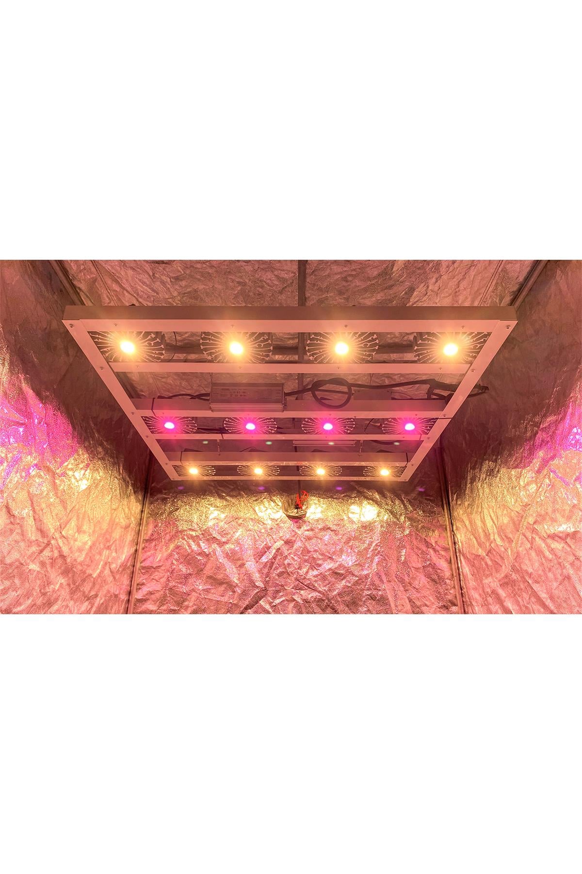 CİTİ 12 PRO 320W Full Spectrum Grow Led Lamba Satın Al