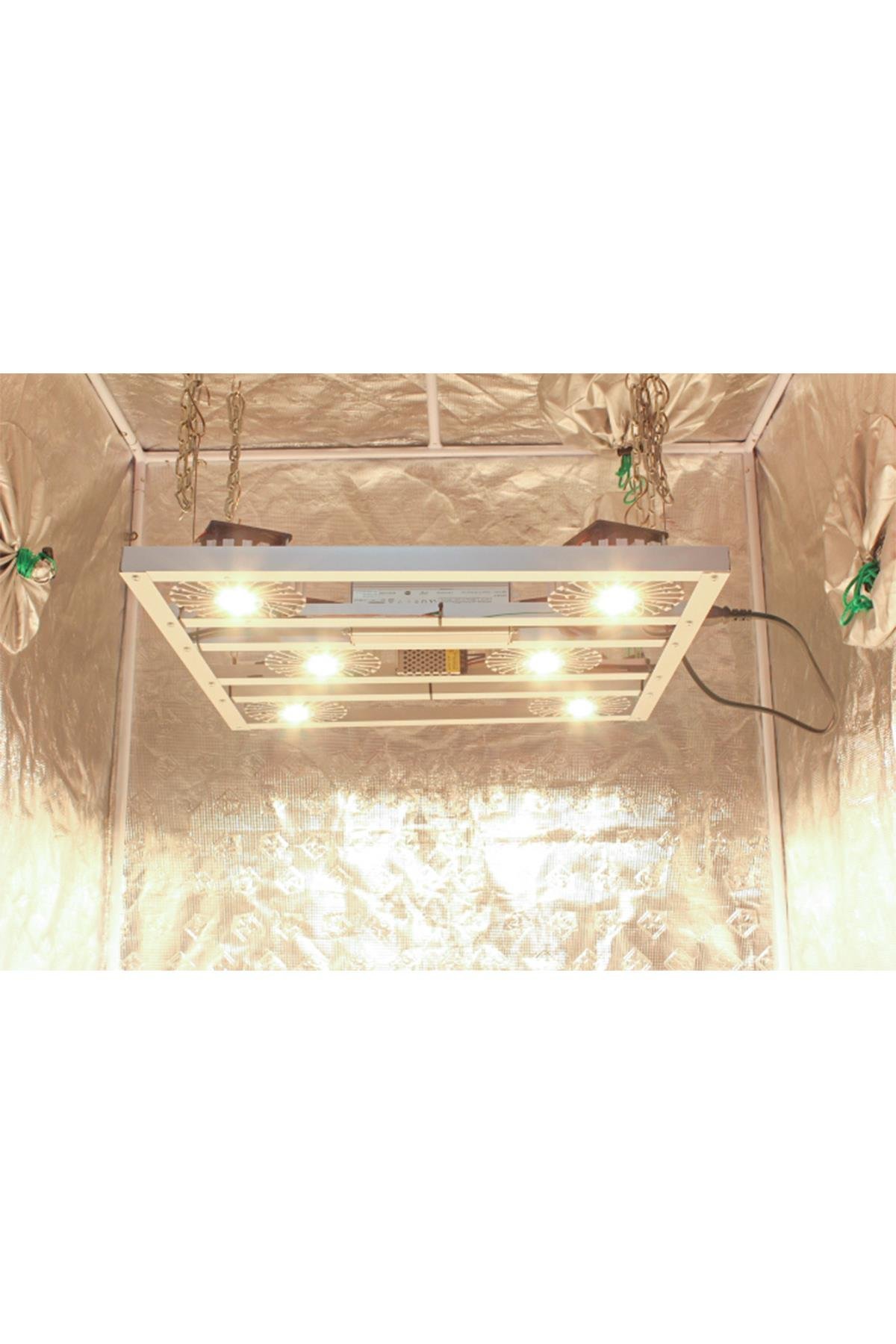 CİTİ 6 160W Full Spectrum Grow Led Lamba Satın Al
