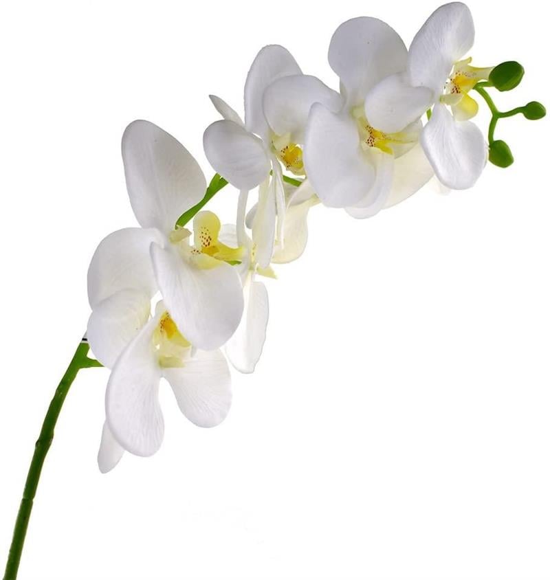 Yapay Çiçek Beyaz Islak Orkide Uzun Dal 90 cm Orkide
