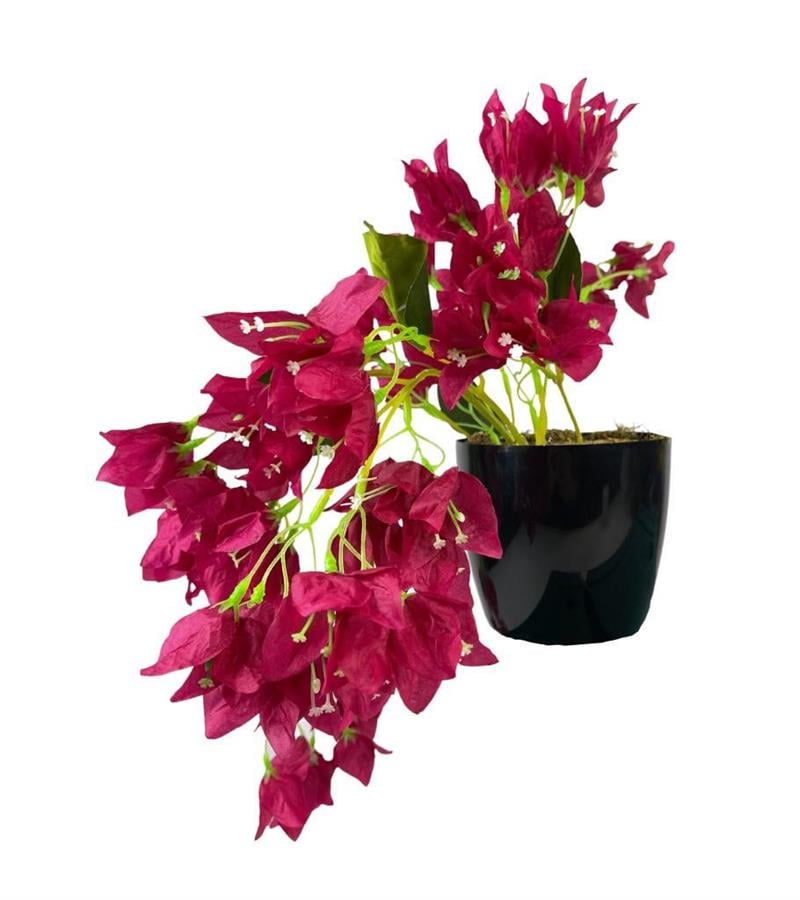 Yapay Çiçek Siyah Saksıda Sarkan Bodrum Begonvil Çiçeği Fuşya 40cm