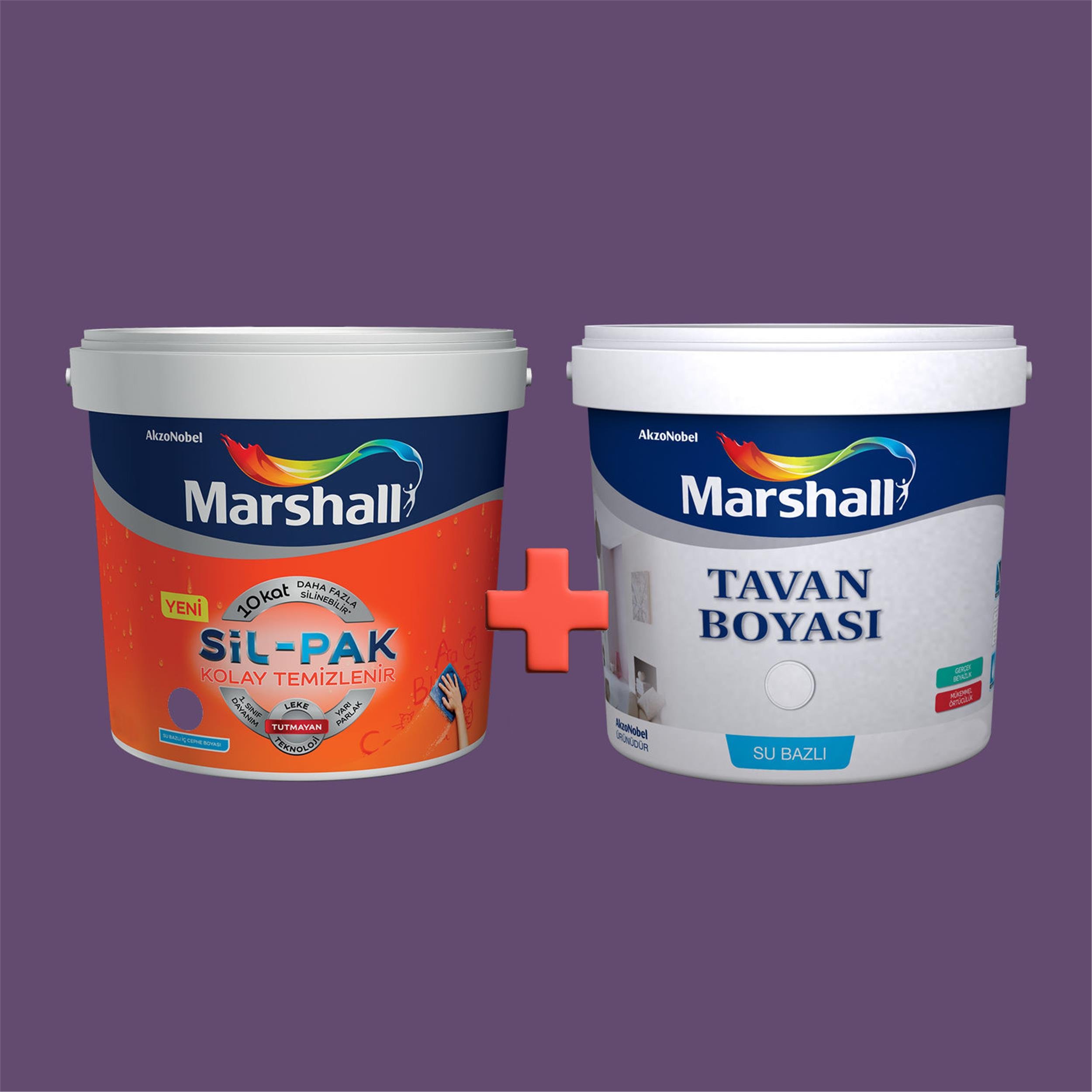 Marshall 50RB 10/219 15 Litre Sil-Pak Kolay Temizlenir Silinebilir Su Bazlı  İç Cephe Boyası + 10 Kg Ultra Beyaz Tavan Boyası Seti (2000000562) | Afeks  Yapı Market