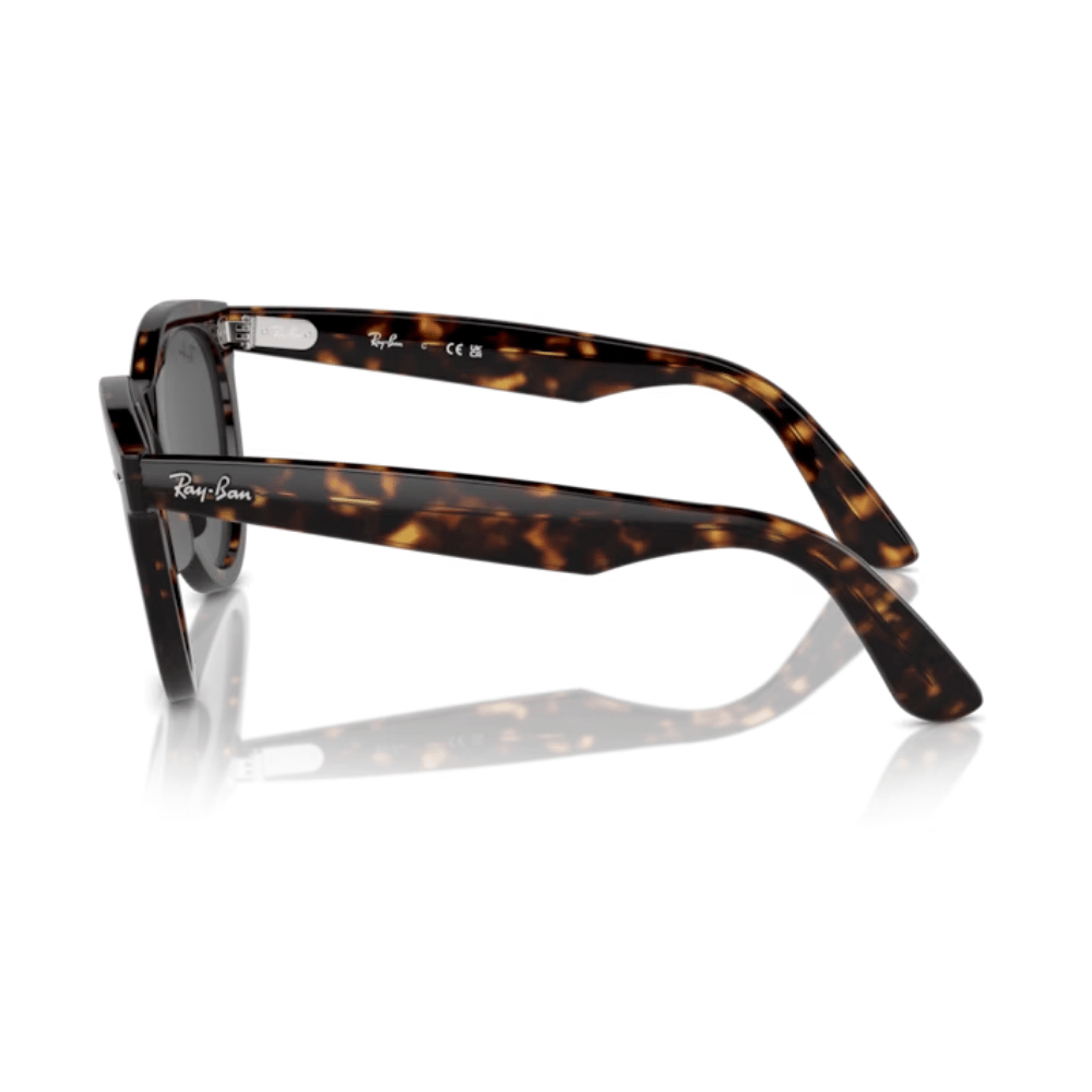 Ray-Ban RB 2241 WAYFARER WAY 902/B1 51