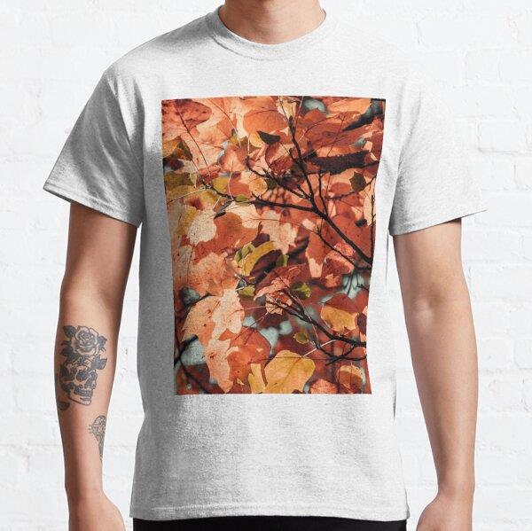  Autumn colour leaves foliage fall season garden Tasarım Baskılı Tişört (Rahat kalıp t-shirt)