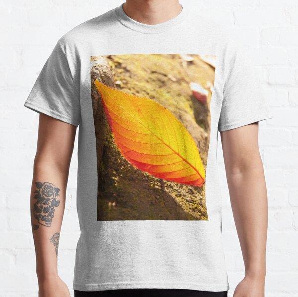 LAST LEAF FALL | Autumn Fall Photo Tasarım Baskılı Tişört (Rahat kalıp t-shirt)