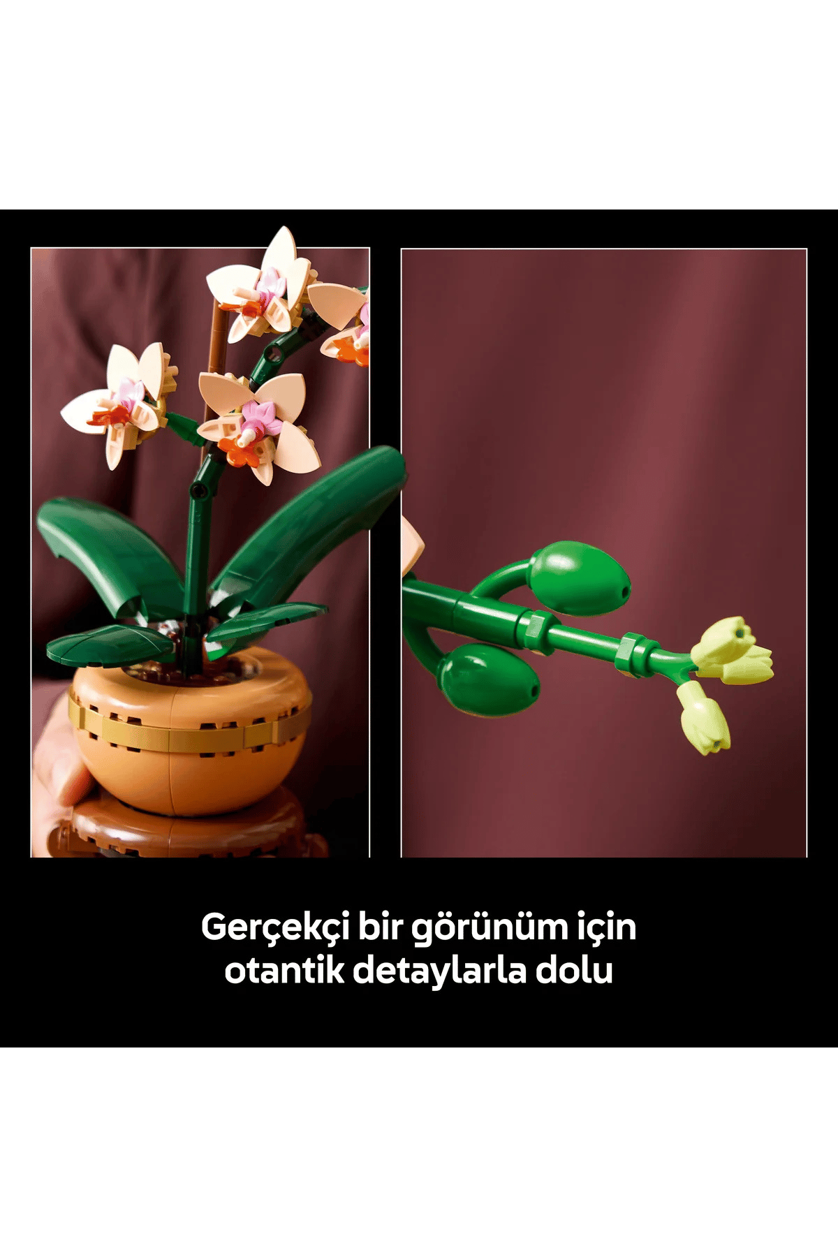 LEGO Botanicals Mini Orkide 10343