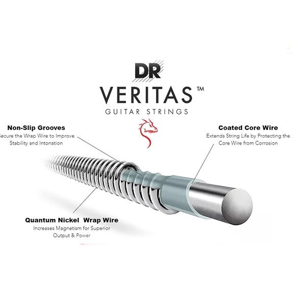 Dr veritas online