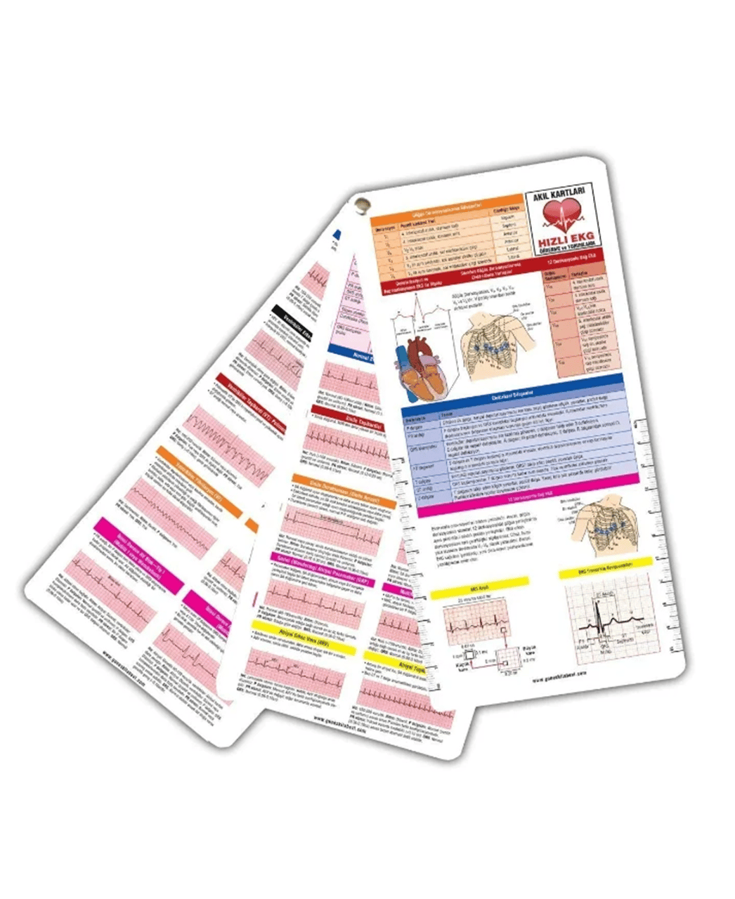 2025 - Kardiyoloji Asistan Seti (12 ÇOK SATAN BU SETTE)