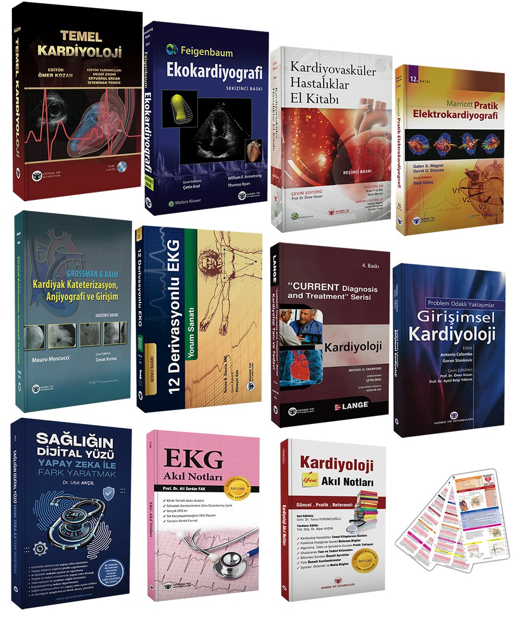 2025 - Kardiyoloji Asistan Seti (12 ÇOK SATAN BU SETTE)