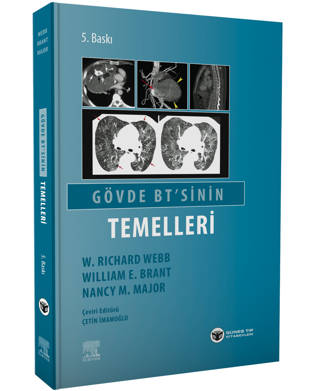 Gövde BT 'sinin Temelleri