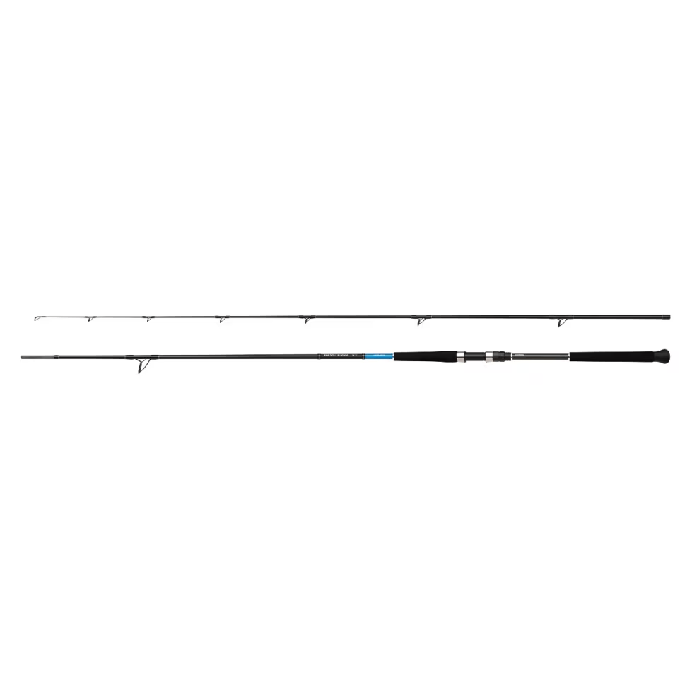 Shimano Bassterra XT 305cm 30-100gr Shore Jig Olta Kamışı